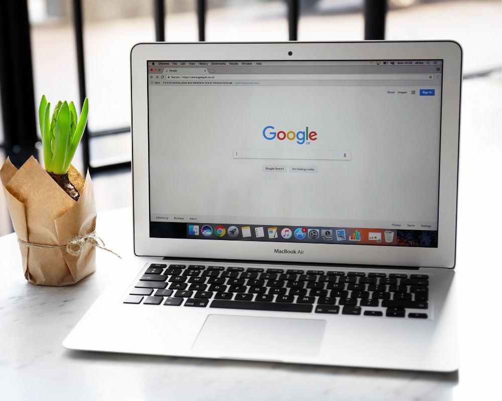 Displaying Google Search Page on Screen