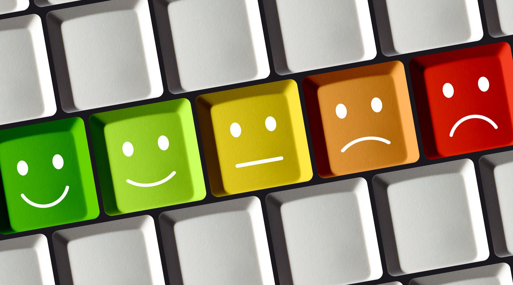 reviews